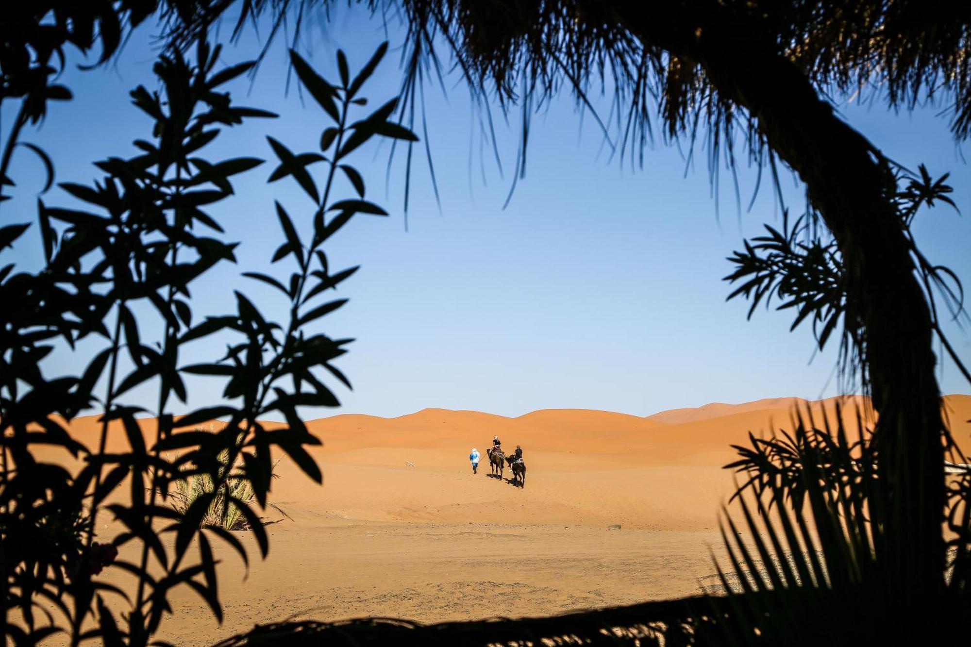 מרזאוגה Dune House מראה חיצוני תמונה