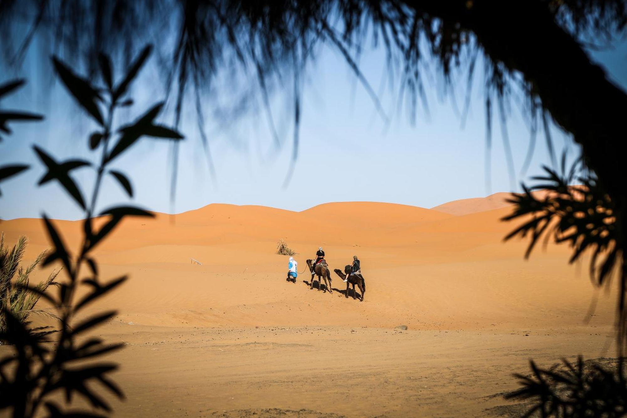 מרזאוגה Dune House מראה חיצוני תמונה